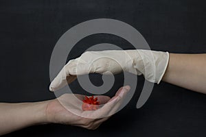 Hand without a glove holds dangerous red coronavirus, hand in white medical disposable rubber latex glove closes, destroys virus,