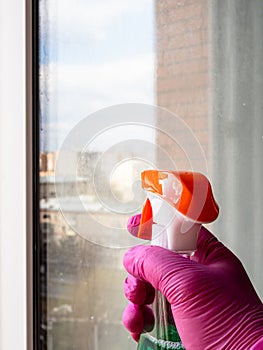 hand in glove holds sprayer in front of window