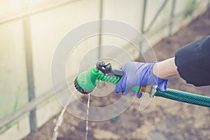 Hand in glove holds watering hose/hand in a rubber protective glove holds a watering, green hose with a green spray nozzle