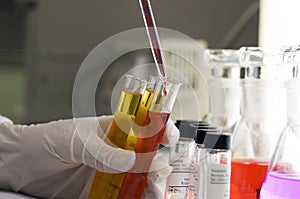 Hand in glove with laboratory flasks