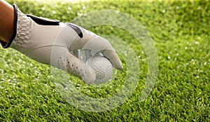 Hand in golf glove holding a golfball, green course lawn background, close up view