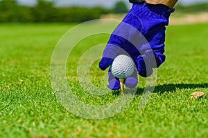 Hand Golfer hold Golf ball with tee ready to be shot at golf court