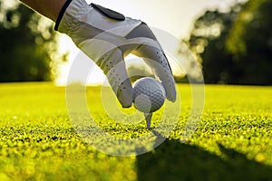 Hand of golfer wearing glove placing golf ball on a tee at golf course with sunlight on background