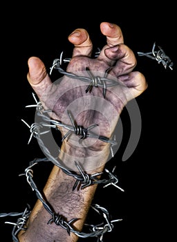 Hand grabbing a barbed wire