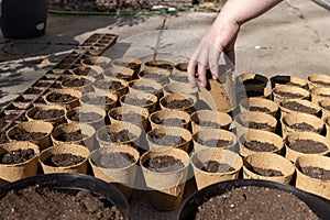 Hand grabbing one item from rows of peat pots