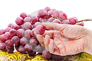 Hand with a grape