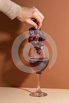 Hand with grapes above the wineglass with red wine on beige background. Festive evening. Holiday concept. Shadow on the wall
