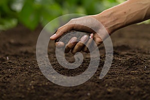 Hand grasp soil at vegetable garden