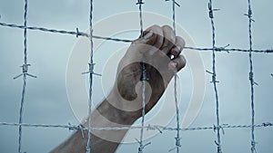 Hand Grasps At Barbed Wire Fence - Prison, POW, Freedom Concept