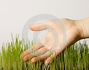 Hand and grass