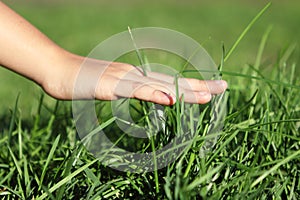 Hand on grass