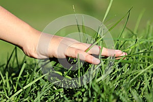 Hand on grass