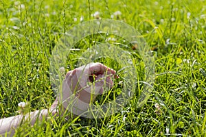 Hand on green lush grass, relaxation and freedom concept