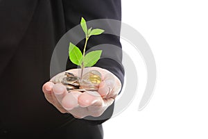 Hand with green plant growing from money