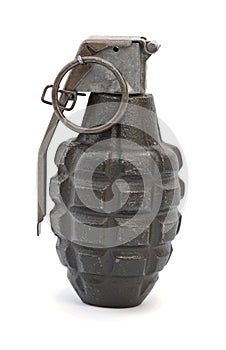 Hand Grenade photo