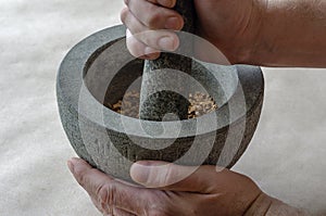 Hand grinds the dried roots of medicinal herbs in stone mortar