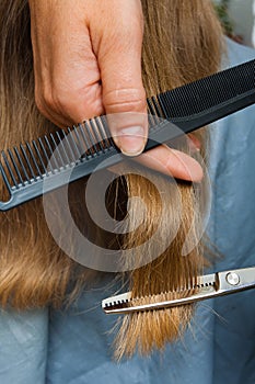 Hand of hairdresser trimming hair with scissors