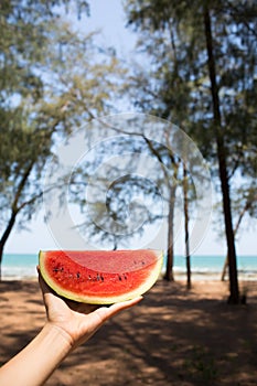 A hand having red watermelon by the sea in sunny day.