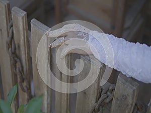 Hand with henna holding the fence