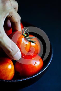 Hand hoilding Fresh red tomato in wooden cup healthy food and vegetable concept