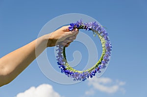 Hand hold cornflower crown in blue sky background