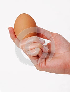 Hand hold an egg isolated on white
