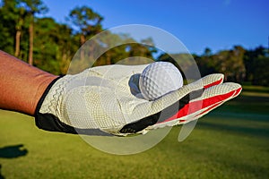 Hand hold golf ball with tee on course, golf course background