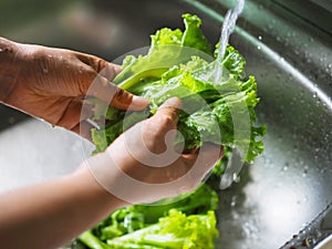 Hand hold green salad clearning by water for cooking
