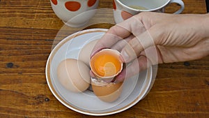 Hand hold half of eggshell with separate raw egg yolk