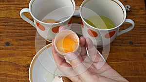 Hand hold half of eggshell with separate raw egg yolk