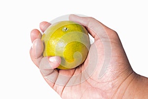 Hand hold mandarin orange isolated white background ,thailand fr