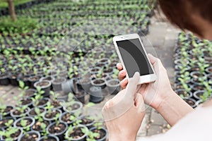 hand hold mobile phone in the garden