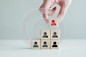 Hand hold red people icon on block. Human resources management and recruitment business hiring concept.