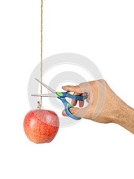 Hand hold the scissors try to cut rope that hang apple.