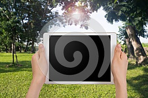 Hand hold smartphone, tablet, cell phone with blank screen on blurred tree park background.