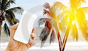 Hand hold and touch screen smart phone on coconut palm trees wit