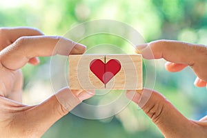 Hand hold wooden cube with heart sign icon on and copy space nature sunlight you can put text on background. Valentine love season