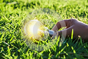 hand holdging light bulb on grass with solar energy. power eco c