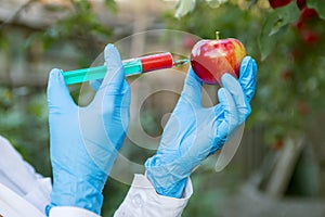 Hand holding apple fruit with syringe with chemical fertilizers of red colour in apple. GMO and pesticide modification. Scientist
