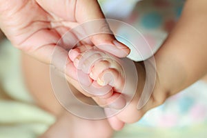 Hand holding a baby foot