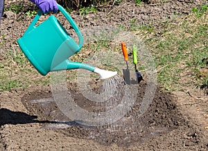 Hand holding bailer and watering garden bed photo