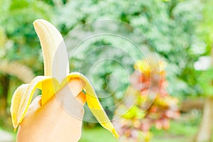 Hand holding a banana,Healthy food, bananas rich in vitamins, healthy lifestyle and prevention of vitamin deficiency