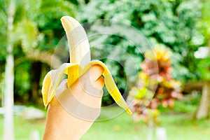 Hand holding a banana,Healthy food, bananas rich in vitamins, healthy lifestyle and prevention of vitamin deficiency