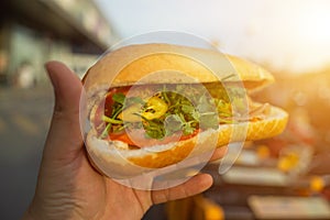 Hand holding Banh Mi - Vietnamese Sandwich, popular street food from bread stuffed with raw material: pork, ham, pate, egg and