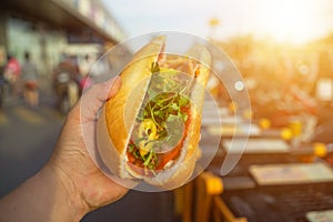 Hand holding Banh Mi - Vietnamese Sandwich, popular street food from bread stuffed with raw material: pork, ham, pate, egg and