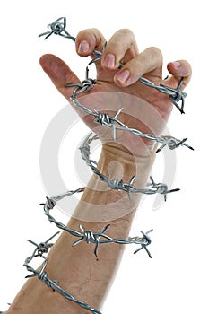 Hand holding a barbed wire