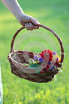 Hand holding basket with flowers at sunset