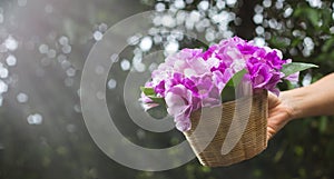 hand holding a basket of fresh purple flowers