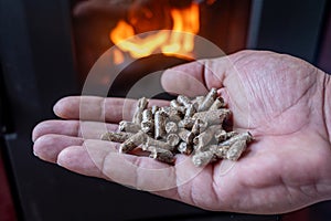 hand holding biomass pellets in front of a pellet stove