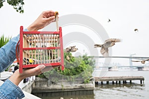 Hand holding a bird cage for liberation.